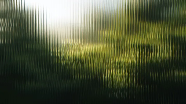 Sunlight through green leaves, seen through ribbed glass