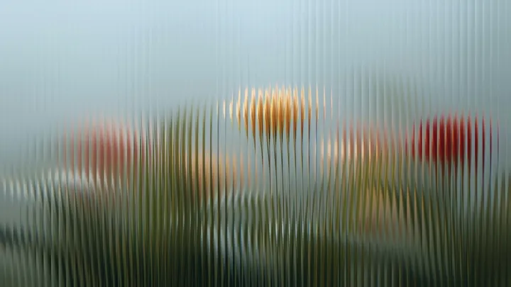 Garden flowers in soft light, seen through ribbed glass